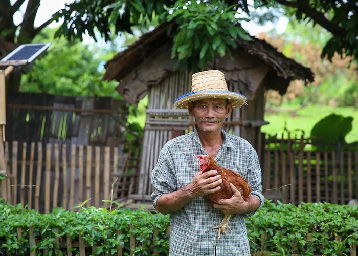 Hang Tueng Farm Stay Chiang Mai แฮงตึง ฟาร์มสเตย์ เชียงใหม่