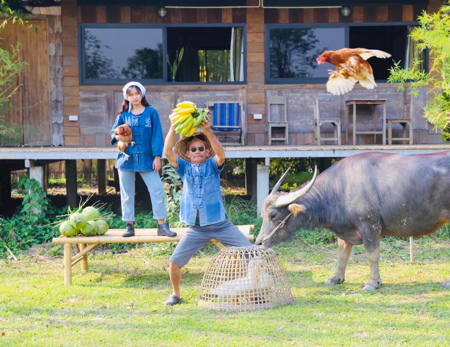 Hang Tueng Farm แฮงตึง Hébergement de vacances