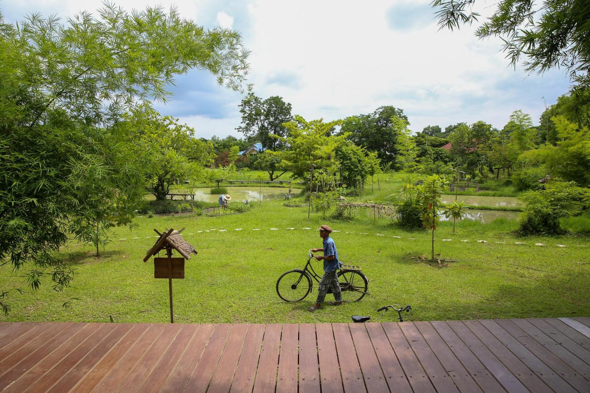 Hébergement de vacances Hang Tueng Farm แฮงตึง Chiang Mai