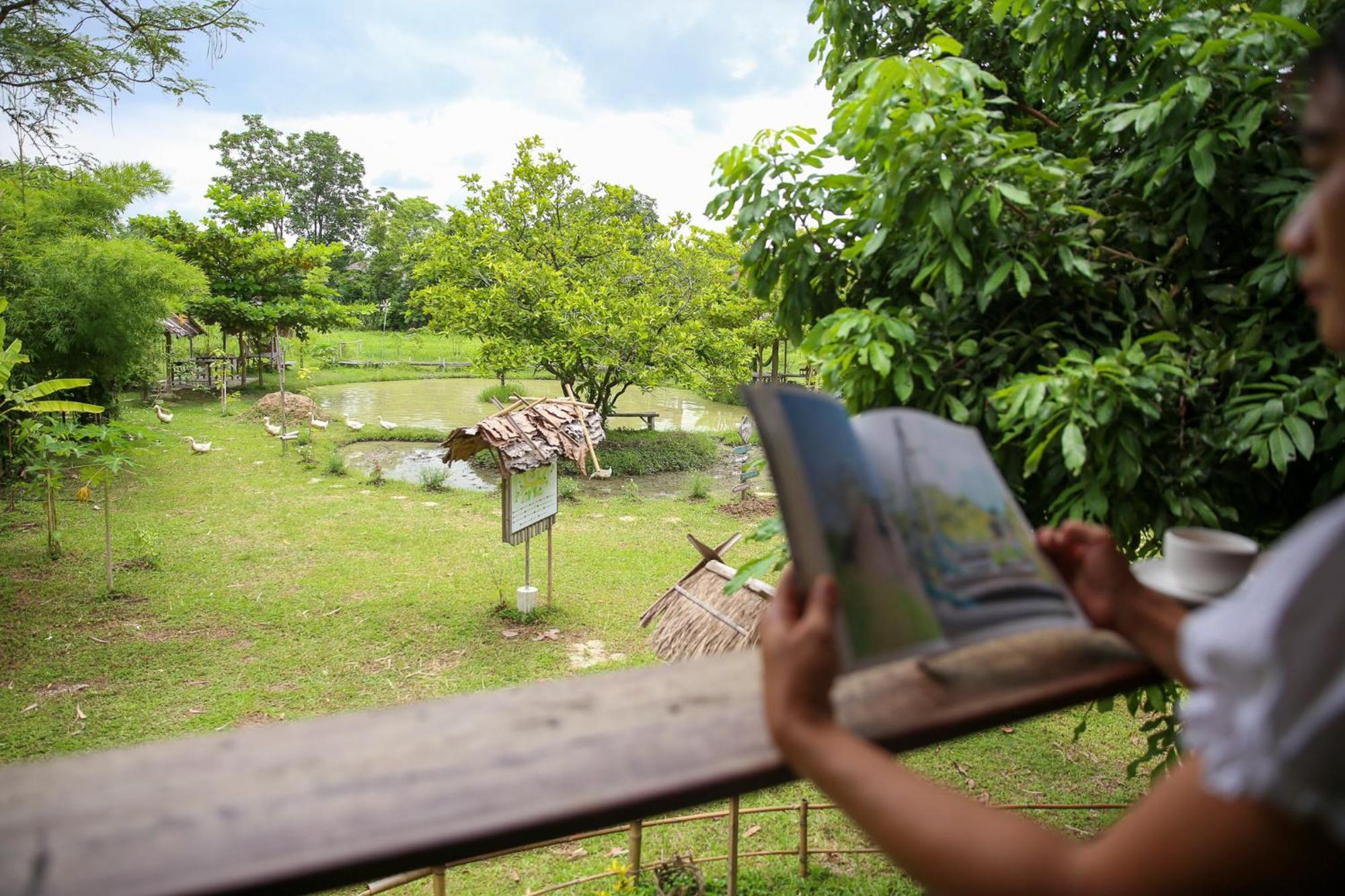 Hébergement de vacances Hang Tueng Farm แฮงตึง Chiang Mai